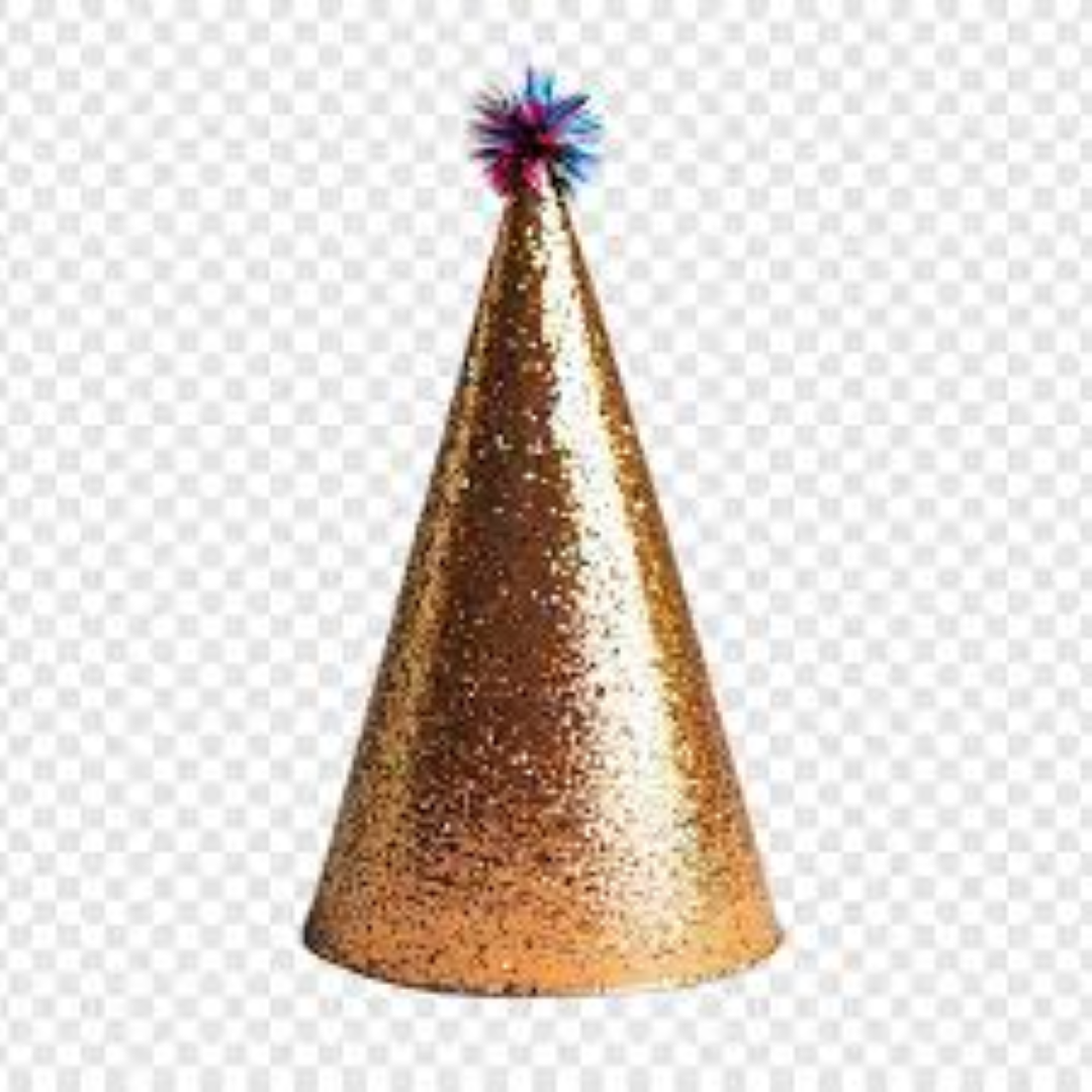 PARTY HATS 20 CM 12s